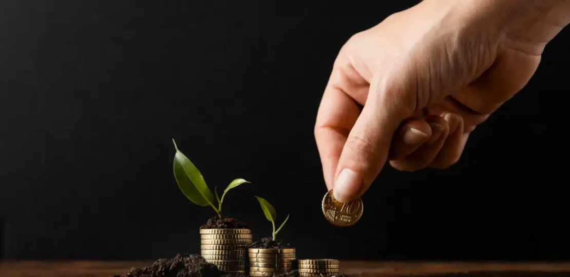Investir com Pouco Dinheiro